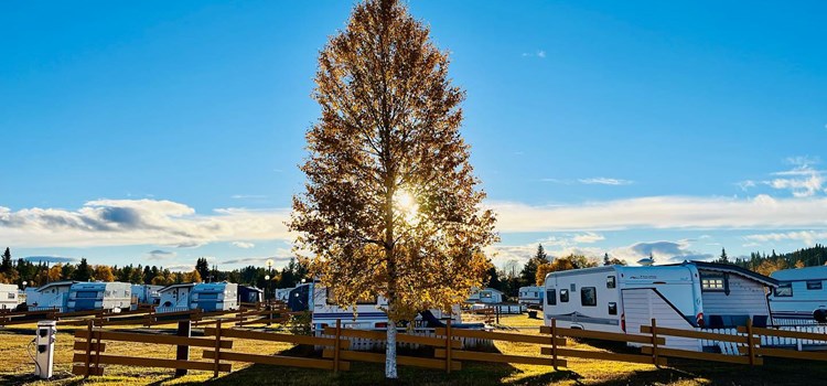 Camping i Valdres nær Golsfjellet