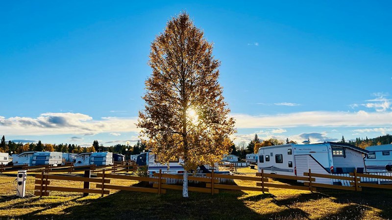 Camping i Valdres nær Golsfjellet