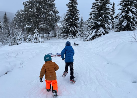 Vinter på bjorkestolen camping i Valdres nær Golsfjellet
