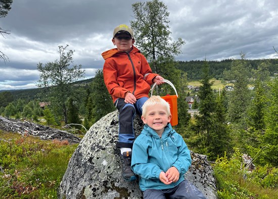 Overnatting familivennlig Valdres nær Golsfjellet