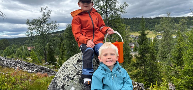 Overnatting familivennlig Valdres nær Golsfjellet