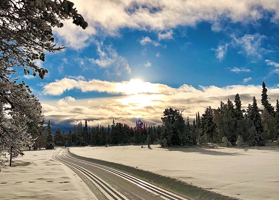Langrenn skiferie i Valdres overnatting på bjorkestolen camping