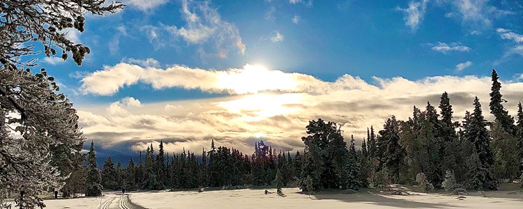 Langrenn skiferie i Valdres overnatting på bjorkestolen camping