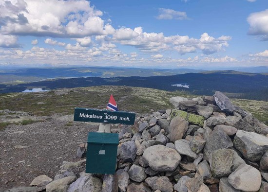 Makalaus i Valdres. Overnatting på bjorkestolen nær Golsfjellet