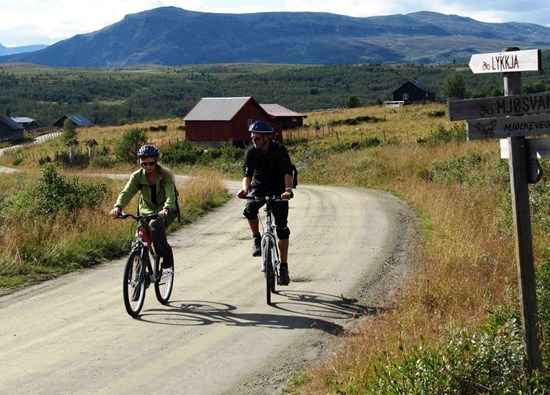 Sykling i Valdres nær Golsfjellet. Camping med overnatting.