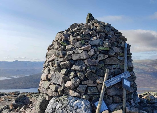 Grønnsennknippa i Valdres ved bjorkestolen camping og overnatting