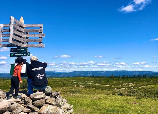 Gribbe ved bjorkestolen camping i Valdres med overnatting nær Golsfjellet