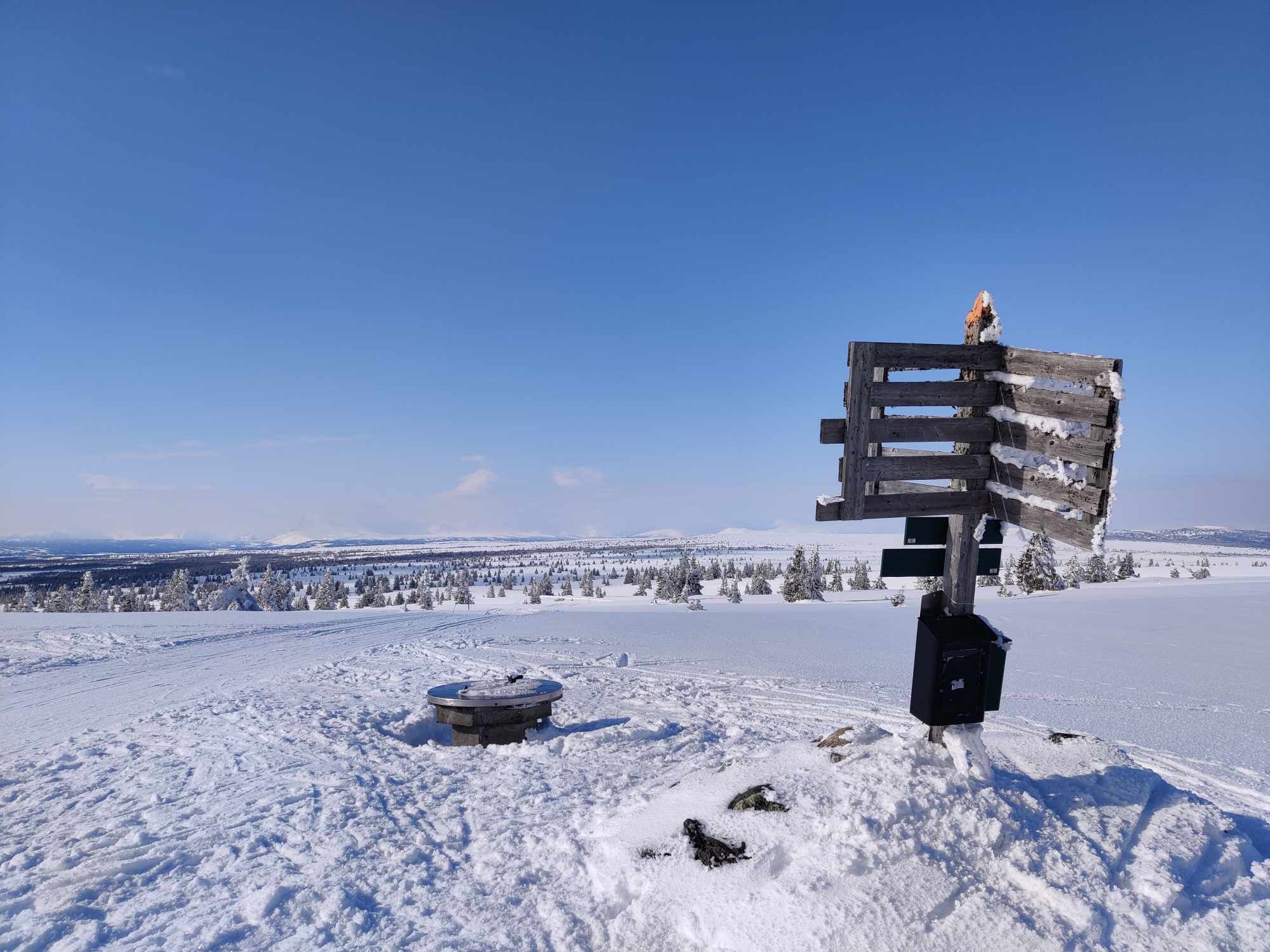 Langrenn Gribbe Golsfjellet