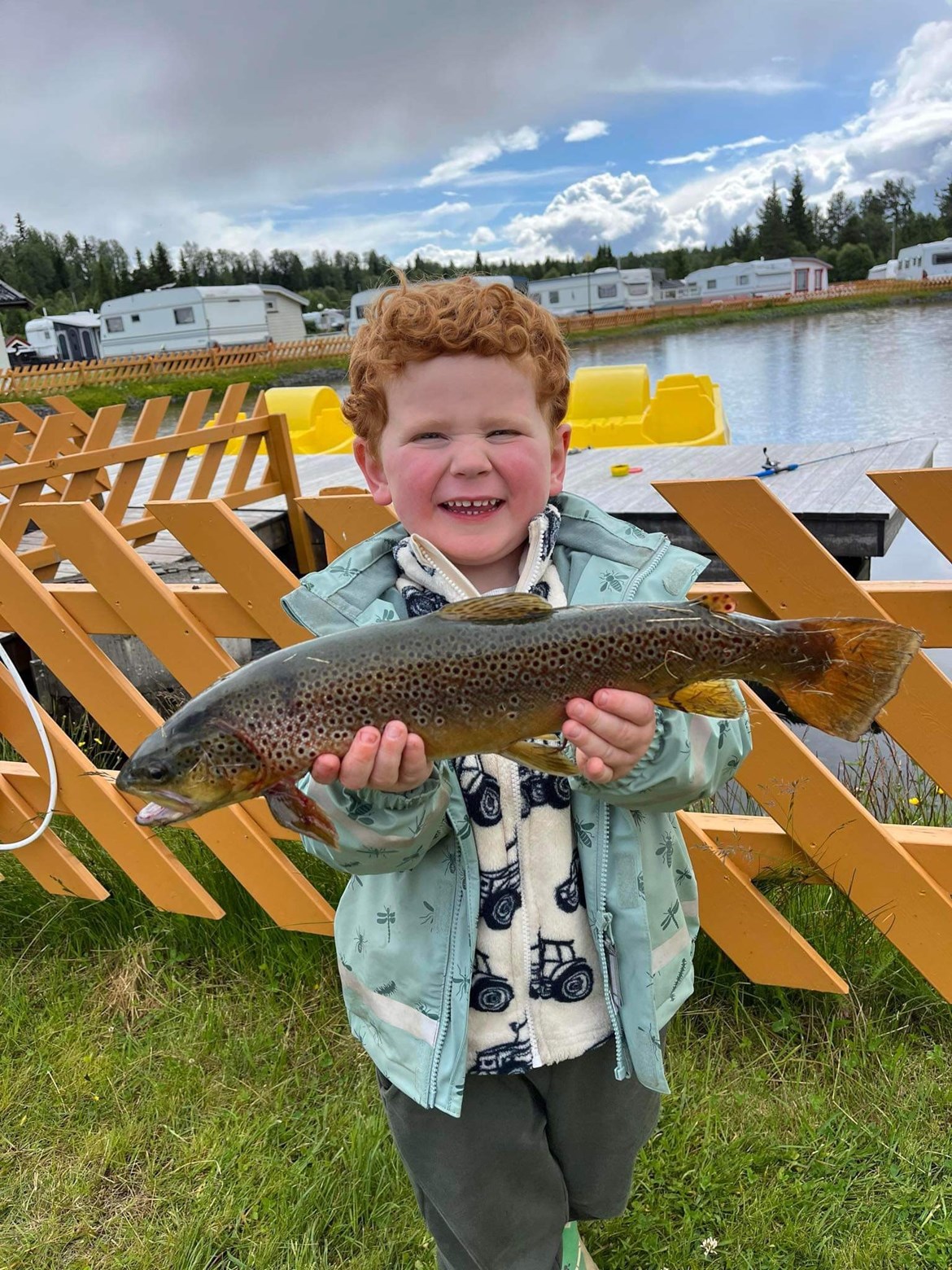 Fisk I Dammen 24