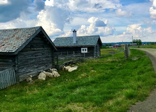 Familievennlig tur på camping i Valdres med overnatting