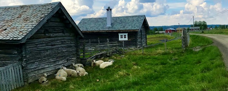 Familievennlig tur på camping i Valdres med overnatting
