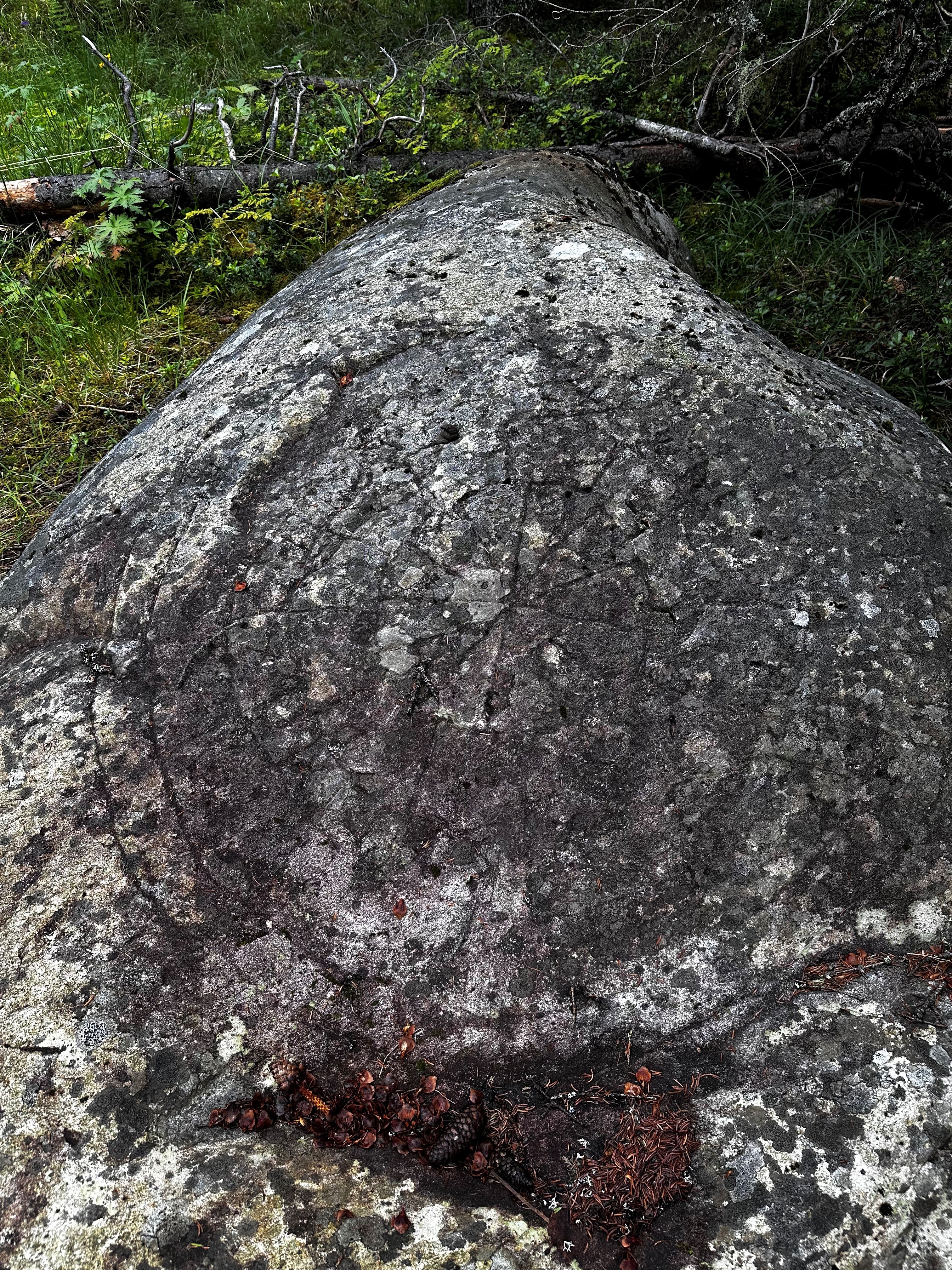 Runesteinen i Valdres ved bjorkestolen camping med overnatting